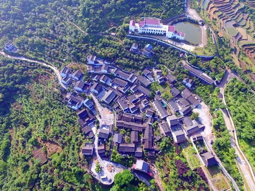 嵊州新昌人常去的免費寶地，如今榮膺國家4A級景區